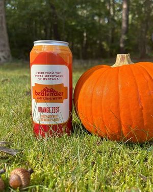 Image post by @badlanderbeverages on Instagram