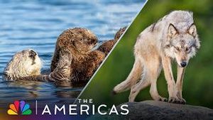 Video post by @nbc on YouTube