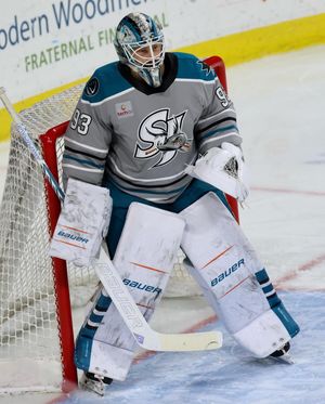 Image post by @goaliegearnerd on Instagram