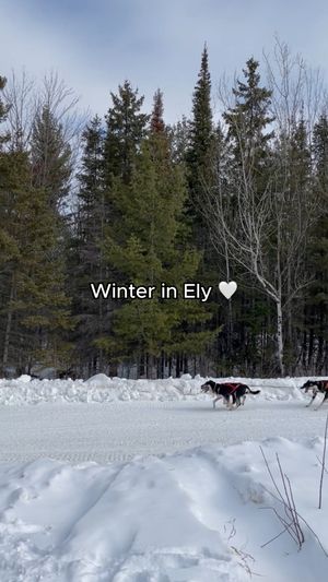 Video post by @grandelylodge on Facebook