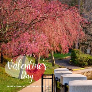 Image post by @montreat on Instagram