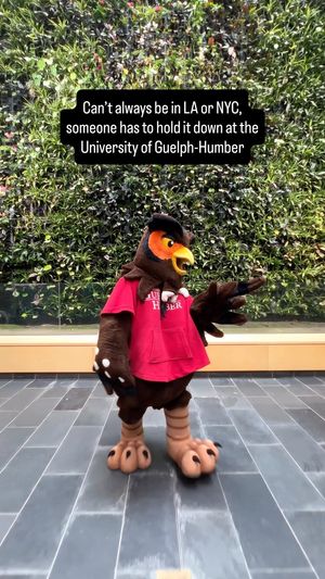 Video post by @GuelphHumberUni on Facebook