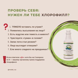 Image post by @moldo_rus on Instagram