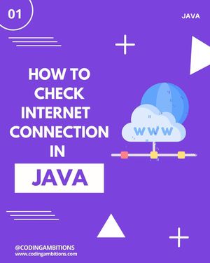Image post by @codingambitions on Instagram