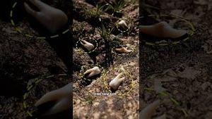Video post by @cleoabram on YouTube