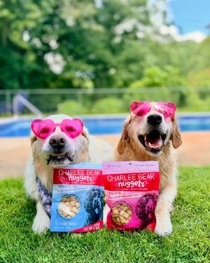 Image post by @charlee_bear_dogtreats on Instagram