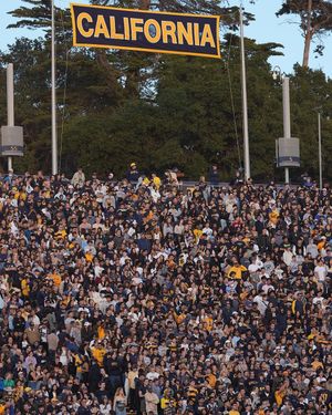 Image post by @calathletics on Instagram