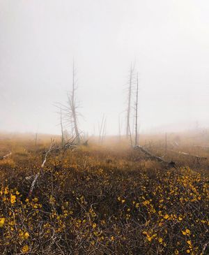 Image post by @chrislholder on Instagram