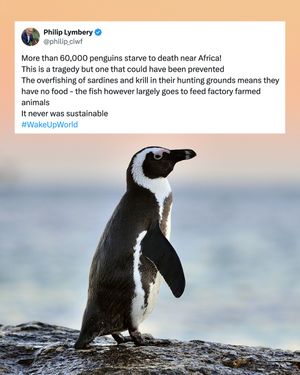 Image post by @greenpeace on Instagram