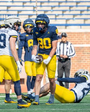 Image post by @umichfootball on Instagram