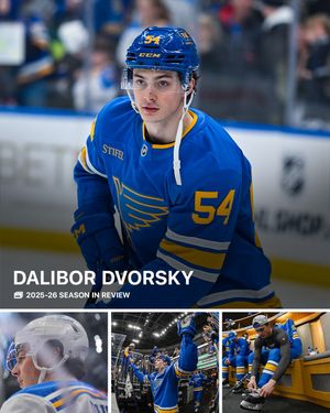 Image post by @stlouisblues on Instagram