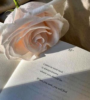 Image post by @mishighpriestess on Instagram