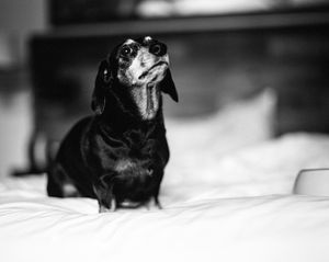 Image post by @bycorrigan on Instagram