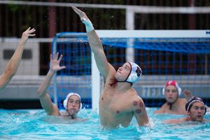 Image post by @fordhamwpolo on Instagram