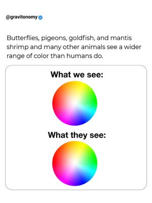 Image post by @gravitonomy on Instagram