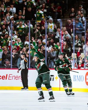 Image post by @minnesotawild on Instagram