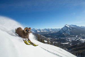 Image post by @mtnorquay on Instagram