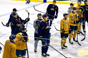 Image post by @sfstampede on Instagram