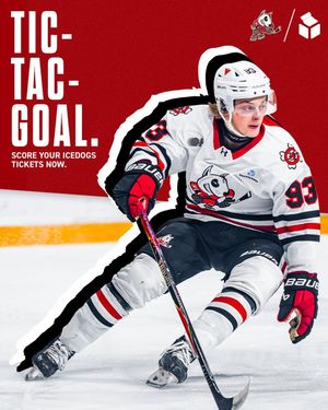 Image post by @ohlicedogs on Instagram