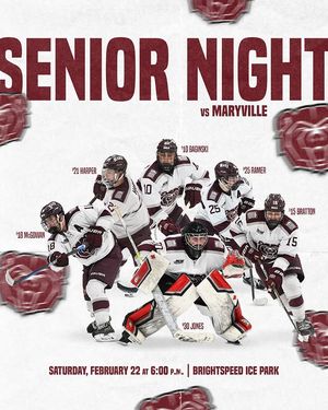 Image post by @mostatehockey on Instagram