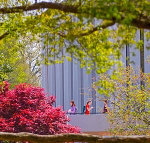 Image post by @clemsonIT on Facebook