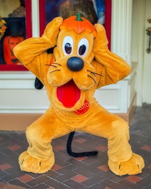 Image post by @disneyland on Instagram
