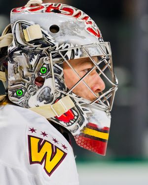 Image post by @chicagowolves on Instagram