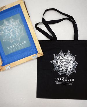 Image post by @thetorggler_cnu on Instagram