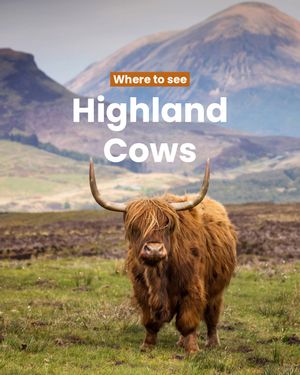 Image post by @visitscotland on Instagram