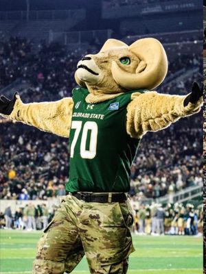 Image post by @csucheerleading on Instagram