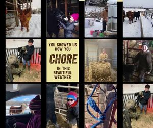 Video post by @AmericanRoyalLivestock on Facebook