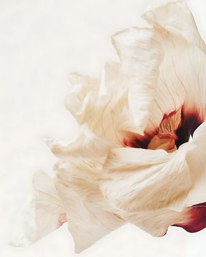 Image post by @azrabetul on Instagram