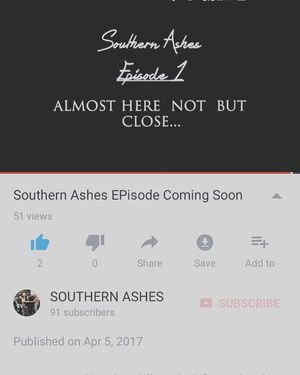 Image post by @southern_ashes on Instagram