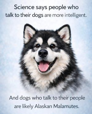 Image post by @woofs.logic.app on Instagram