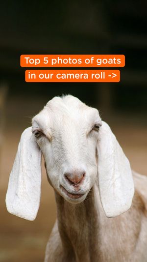 Video post by @mastercard on TikTok