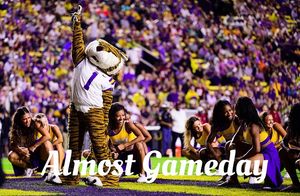 Image post by @lsumiketiger on Instagram