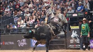Video post by @pbr on YouTube