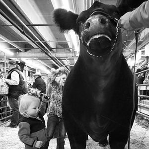 Image post by @nationalwestern on Instagram