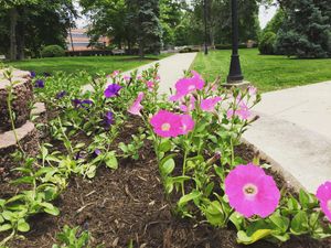 Image post by @marshallu on Instagram