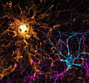 Image post by @neurochirurg_litak on Instagram
