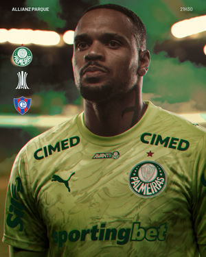 Image post by @palmeiras on Instagram