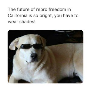 Image post by @reproforallca on Instagram