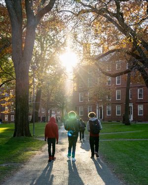 Image post by @harvard on Instagram