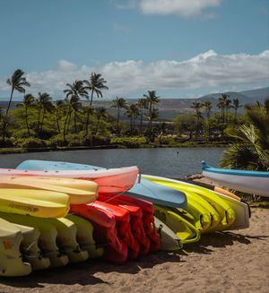 Image post by @erinrudfilm on Instagram