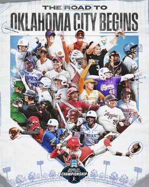Image post by @ncaasoftball on Instagram