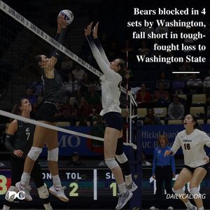 Image post by @dailycalsports on Instagram
