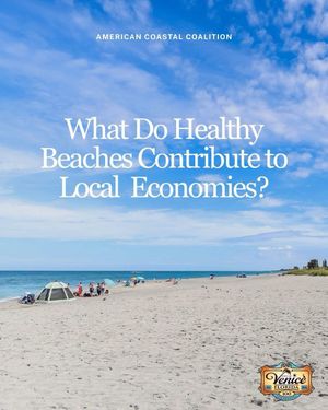 Image post by @cityofveniceflorida on Instagram