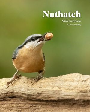 Image post by @rspb on Instagram