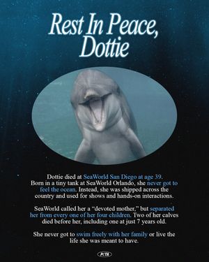 Image post by @peta on Instagram