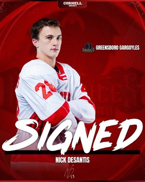 Image post by @cornellmhockey on Instagram